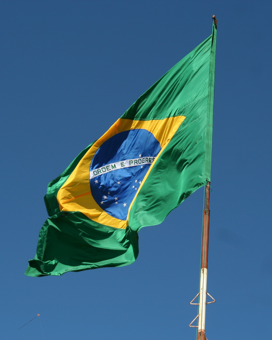 Brazilian Blend 1LB