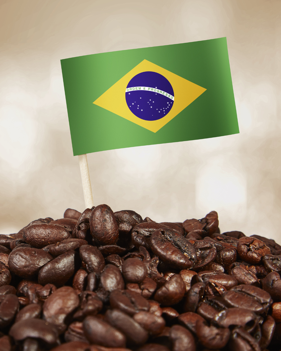 Brazilian Blend 1LB